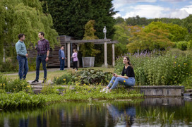 Studierende in Gruppen unterhalten sich im blühenden Staudengarten. Eine Studentin verbringt ihre Mittagspause am schön angelegten Teich. 