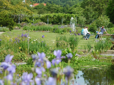 Teich und Rasenfläche im Staudengarten kurz nach der Anlage, im Hintergrund sprudelt die große Fontäne im gedrosselten Zustand