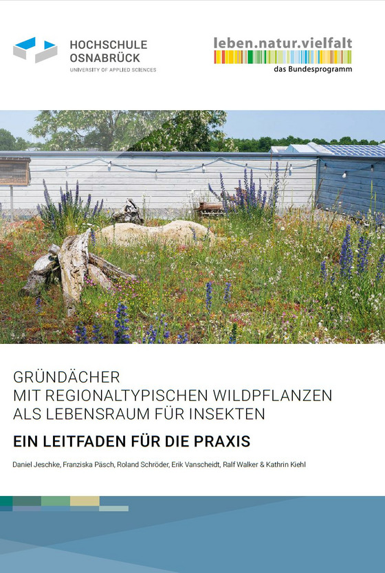 Das Bild zeigt das Cover des Praxisleitfadens mit Projektergebnissen und Empfehlungen