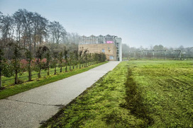 Asphaltierter Weg zwischen einer Apfelplantage und einem Gemüsefeld, der zum Forschungszentrum Agrarysteme der Zukunft führt. Im Hintergrund sieht man eine weitere Obstplantage mit Hagelschutznetzen.